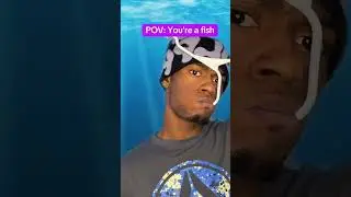 When you’re a fish 💀