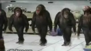 its all about the dance