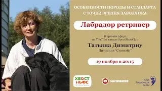 Лабрадор ретривер / Татьяна Димитриу. Питомник 