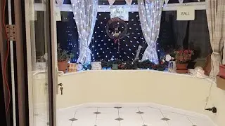 Twixmas Online Dance