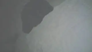 SHOOTING STAR(АНТОНА ВЗЯЛИ НА БЕДРО БЫВАЕТ...)