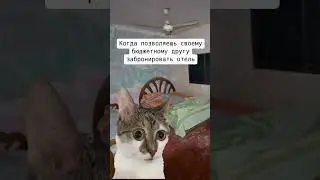 Телеграмм - @big_money_99 #мем #юмор #шутка #прикол #жиза #смешно #shorts