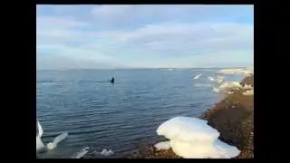 ЗАПОЛЯРНЫЙ КРУГ