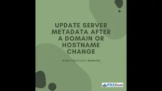 Update Server Metadata After a Domain or Hostname Change