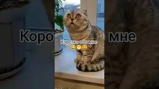 Коротко обо мне 