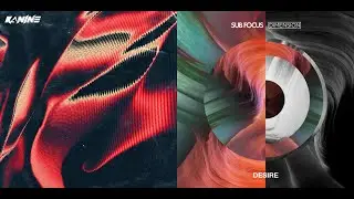 Kanine - Set It Off X Sub Focus & Dimension - Desire