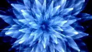 Дисса СтеФания   Основы Ведовства 5