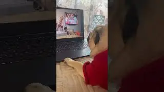 Уберите детей от экранов #шифа #pug #мопсы #мопс