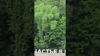 счастье в парке