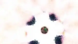 Live Virtual Meditation - Morning
