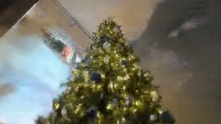 Neural Radiance Field for Christmas!