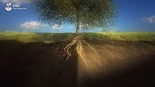 PHC Movie: Soil is a living organism
