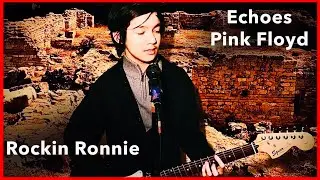 Rockin Ronnie - Echoes (Pink Floyd Cover)
