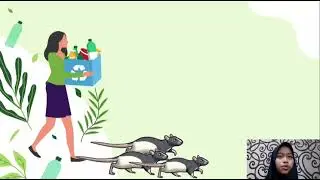 Programa Penyuluhan Pertanian | Komoditas Padi Kabupaten Bojonegoro | Sri Rahayu | 200321100071
