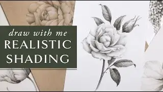 Realistic Pencil Shading - Botanical Flower Drawing