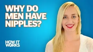 Why do men have nipples? (and 9 other answers to questions about the human body)