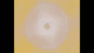 Натали - Гармония