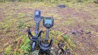 Who will win - Tikhon or Manticore? The price difference is 10 times! Tianxun TX-850/Minelab Mant...