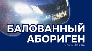 Балованный Абориген | #reportajArtur