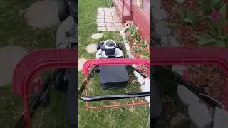 #Murray 22-in cut Briggs & Stratton#mow the lawn#