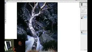 Dancing Trees  - Hindsight