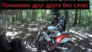 Едем дальше.  Незнакомый лес.