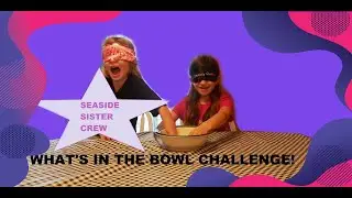 Blindfold Challenge | Mia and Ellie