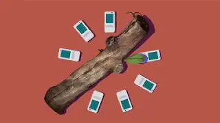 Leon - Forest Settings [Visualized]