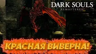 КРАСНАЯ ВИВЕРНА! Dark Souls Remastered