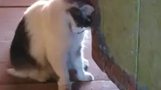 Старый дом.