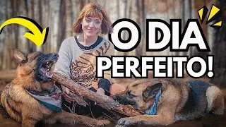 Ter PASTOR ALEMÃO É A MELHOR DECISÃO | Dia perfeito com meus pastores alemães