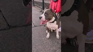 Полное видео 👆 здесь 👆