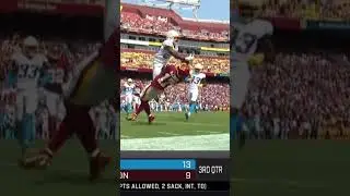 Scary terry catch