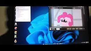 Pinikie pie crying has bsod windows 11