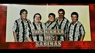 LOS GARZA DE SABINAS  