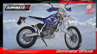 Yamaha TT 600 E | Dominator Exhaust Sound