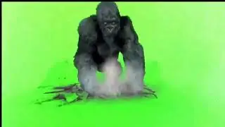 Green Screen Gorilla +FREE Download