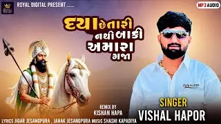 Daya Chhe Tari Baki Nathi Amara Gaja - Vishal Hapor | Ramdevpir Song 2025 | DJ Remix | 