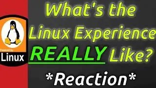 The Linux Experience *Reaction*