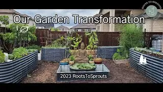 Our Garden Transformation in last 5 yrs