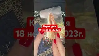 КАРТА ДНЯ 18 ноября  2023 г. 