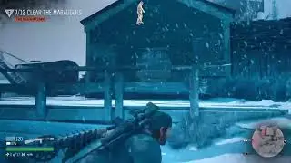 Days Gone