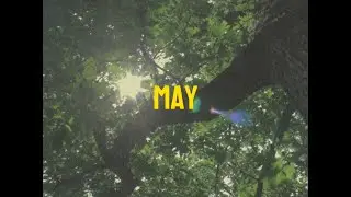 MAY | Cinematic