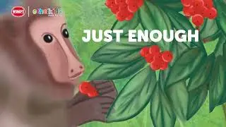 The Baboon, the Dassie and the Berries - Choose Your Ending