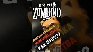 Project Zomboid | быстрая прокачка животноводства | Гайд | Лайфхак | ферма | животные | навыки