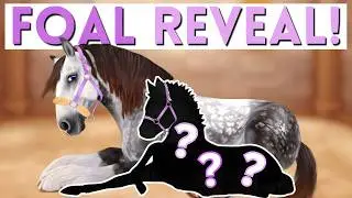 My Horse Had a BABY! FOAL REVEAL🐴 | Star Stable RRP
