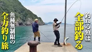 釣りバカ2名による全力釣り旅！！堤防に押し寄せる青物の大群、深夜の奇跡に荒磯の王者…あらゆる魚が釣れた伝説の旅になった件。