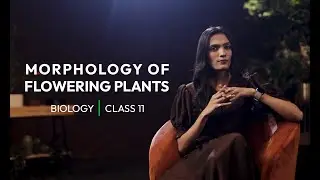 Trailer - Morphology of Flowering Plants| Full Course on Tutoracacademy.com #Class11| NEET | Biology
