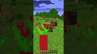🍊МАЙНКРАФТ, НО Я КАПИБАРА ГИГАЧАД! 