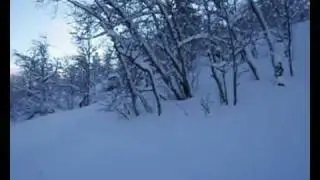 Ski Uvdal. Pudderføre 27.12 2009